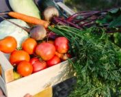 Exercice d’une activité commerciale accessoire par une société agricole : du nouveau !