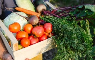 Exercice d’une activité commerciale accessoire par une société agricole : du nouveau !