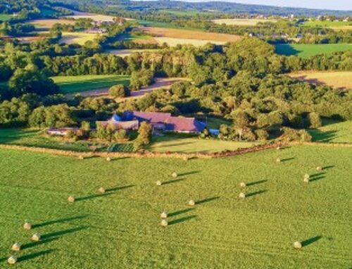 Le prix des terres agricoles et viticoles en 2024